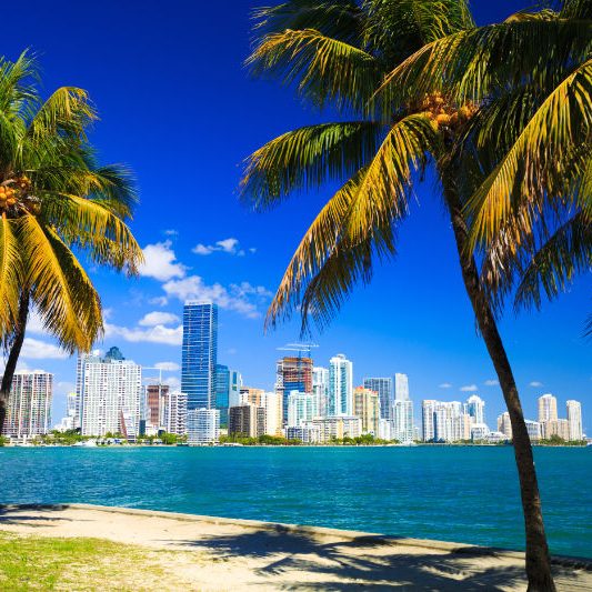 miami-with-palm-trees
